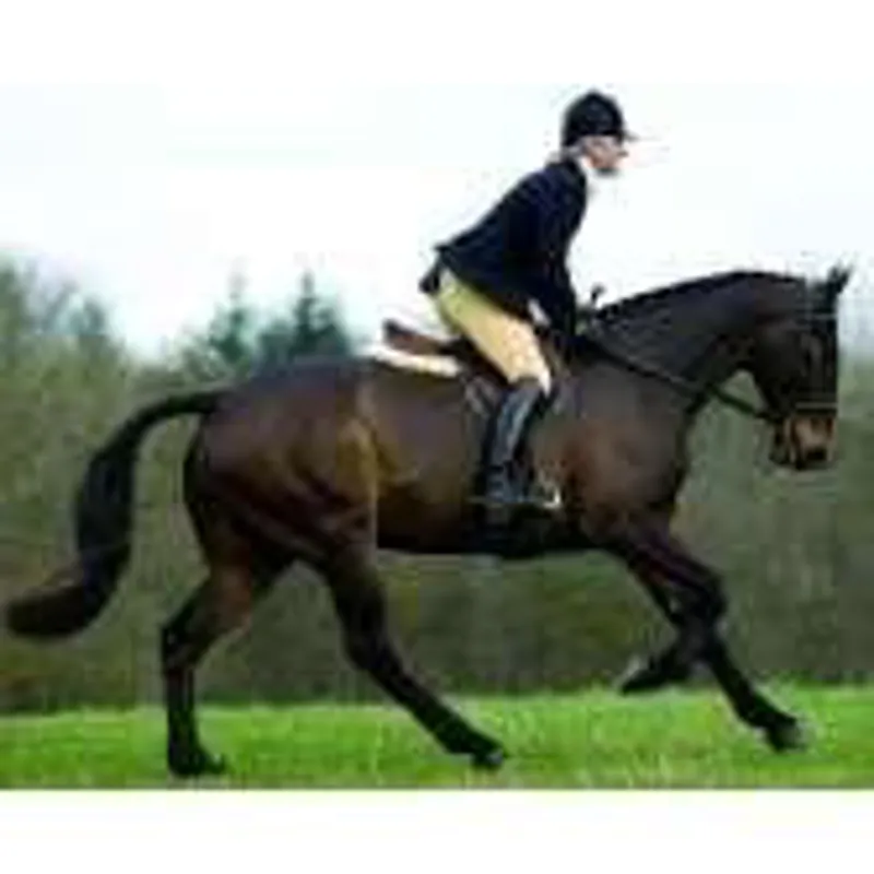 Lucinda Green Bramham Breeches